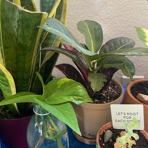 I am moving out soon so send any reasonable offers will most likely accept !!